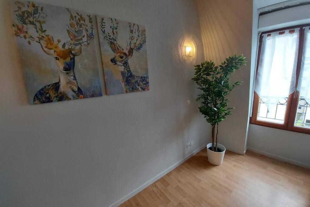 Appartement Moderne, Hyper-Centre - 6/8 Pers. Bagnères-de-Luchon Exterior foto